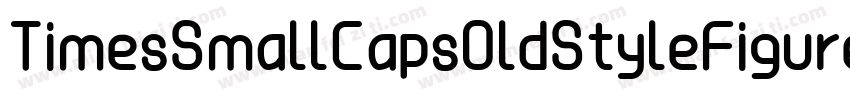 TimesSmallCapsOldStyleFigures Bold字体转换